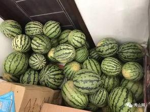 潮州网红吃瓜视频