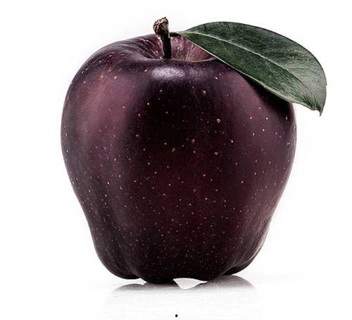 黑瓜吃料网官网入口苹果